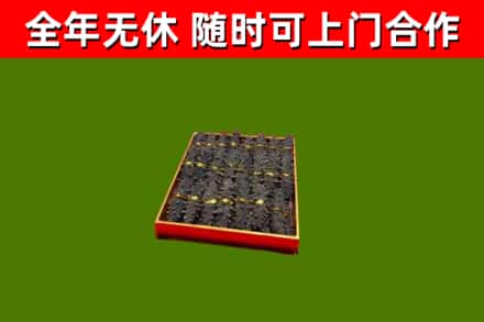 叠彩回收海参
